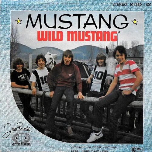 Mustang wild vinyl - wild,