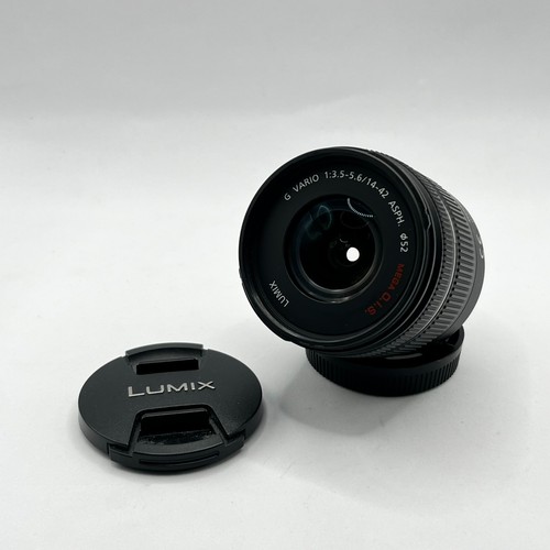 Panasonic lumix vario - g,