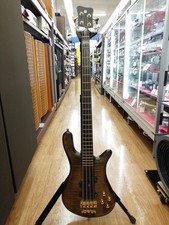 (Warwick) Streamer Stage 1