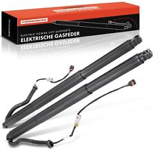 2x Elektrisch Gasfeder