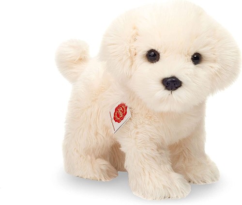 Teddy hermann malteser welpe - malteser,