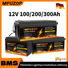 12V 100Ah 200AH 300Ah Lithium