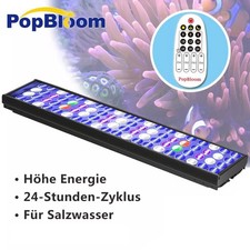 PopBloom 30-150CM LED Aquarium