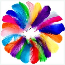 Bunte Federn Handwerk Basteln