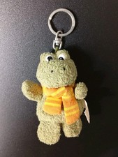 Nici Frosch mit Silberblick