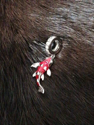 Schmuck charm koi fisch - koi,