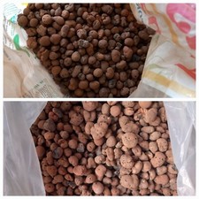 Blusana Pflanzton Körnung 8 – 16 mm Hydrokultur