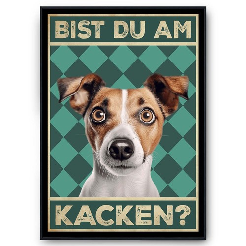 Jack russel terrier bist du - russel,