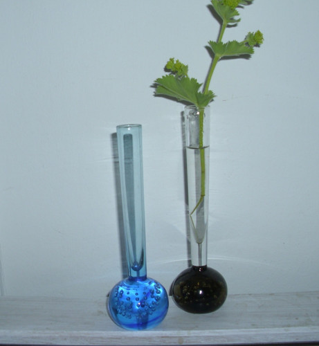 Solifleur orchideen vase - solifleur, x