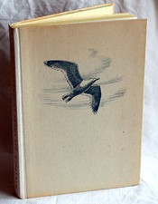 DIE VÖGEL AN STRAND UND WATT