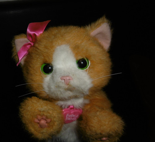 Furreal friends katze - katze, daisy