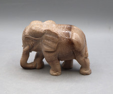 Wunderschöner großer Elefant