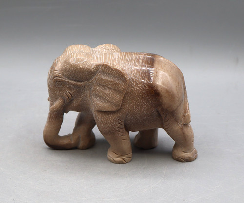 Wunderschöner großer elefant - großer,