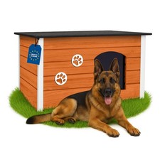 Dog House Teak Holz isoliert