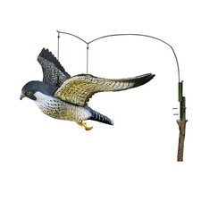 Fliegender Wanderfalke zur