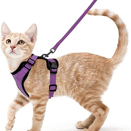 Katzengeschirr mit leine - katzengeschirr,