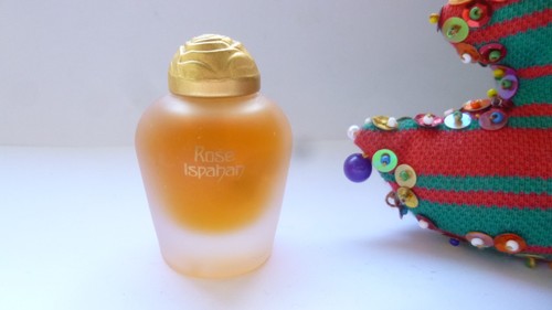 Seltene miniatur rose isfahan - miniatur,