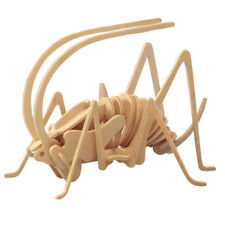 Grille 3D Holzbausatz Insekt
