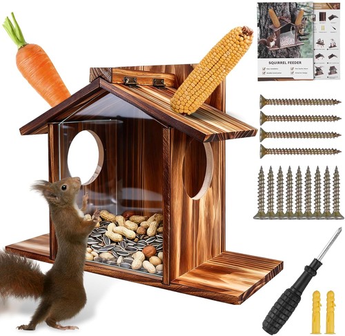 Eichhörnchen wetterfest