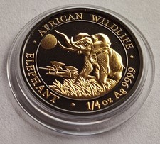 Afrika elefant 2016 999 - 2016,