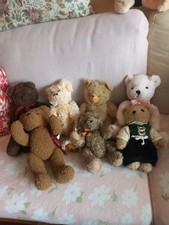 Teddybären Konvolut, 7 Stück