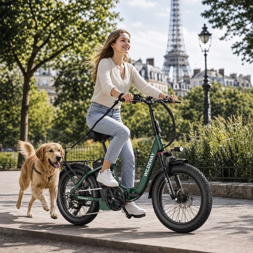 Elektrofahrrad wildeway - 20",