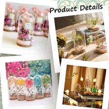 Mini Glasvitrine Glasglocke