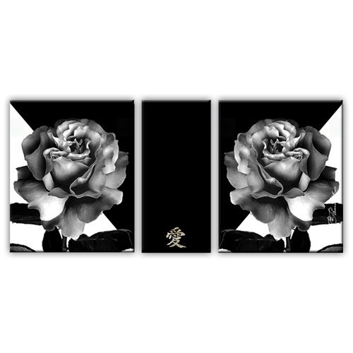 Rose blume schwarz - blume, bild