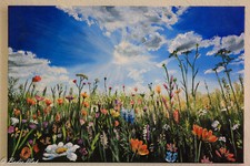 Acrylbild.Handgemalt. Leinwand .60x40cm. bunte Blumenwiese.ungerahmt.Unikat.