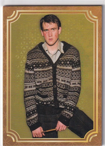 Panini harry potter - harry, evolution