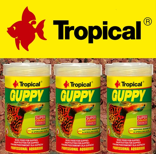 Tropical guppy - (eur,