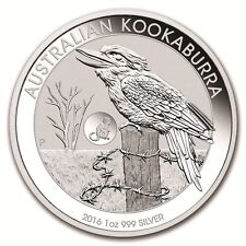 1 UNZE SILBER - KOOKABURRA -