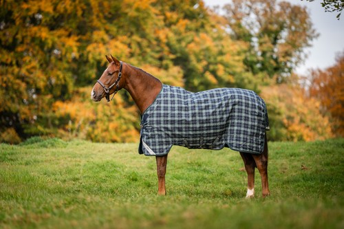 Horseware rhino weidedecke - horseware,