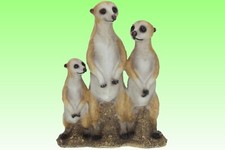 Poly Erdmännchen Familie H 24