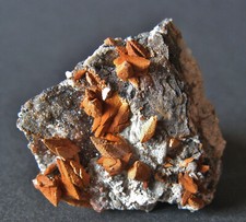 Calcit xx auf Sphalerit v. Grube Beihilfe, Halsbrücke b. Freiberg Top-Kleinstufe