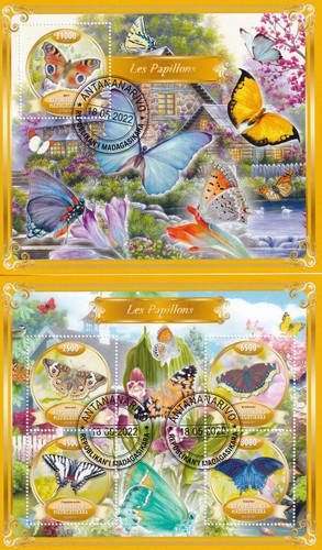 Schmetterlinge madagaskar - schmetterlinge,