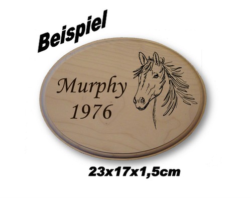 Boxenschild pferdetürschild - boxenschild,