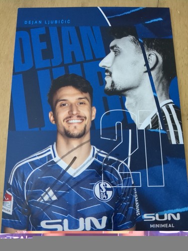 Dejan ljubicic schalke - dejan,