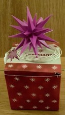 Herrnhuter Stern⭐️