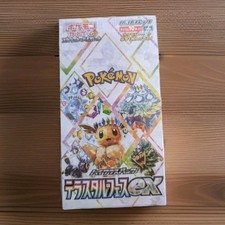 Pokémon - Terastal Festival