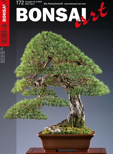 Neue bonsai art - art, nr.