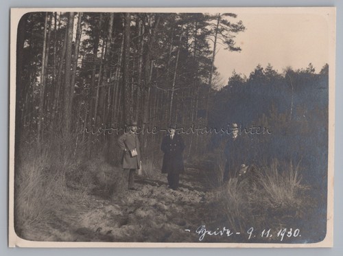 Heide bei halle der saale - heide, an