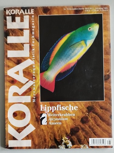 Koralle lippfische dez - koralle,