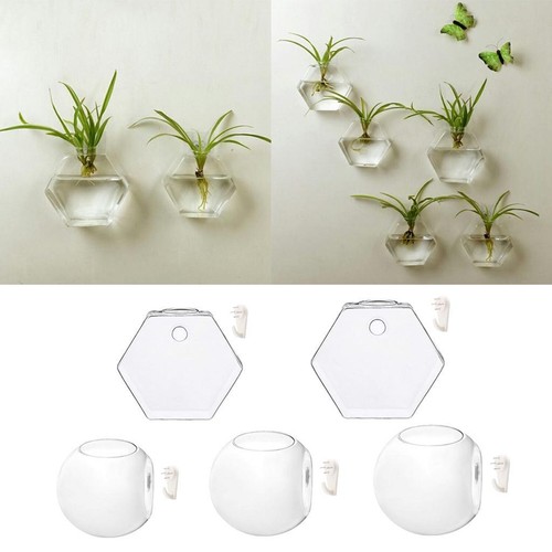 Hydroponische glasvasen - hydroponische,