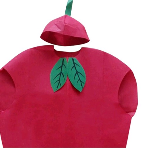 Apfel obstkostüm set - apfel,