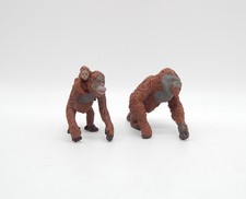 Orang-Utan Familie 293529