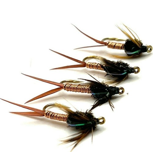 Forellen fliegenfischen - forellen,