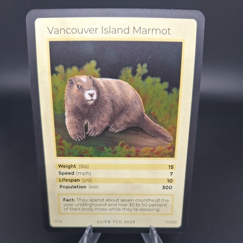 Life tcg mammals 1st - 1st, ed