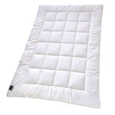 Billerbeck Basic Faser 520