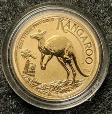 Australien Kangaroo Kängeruh